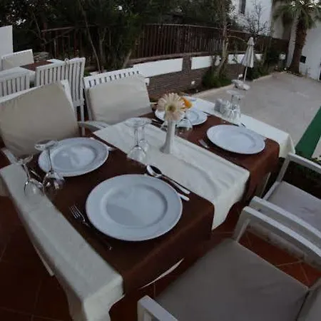 New Bodrum 2 Hotel Bodrum